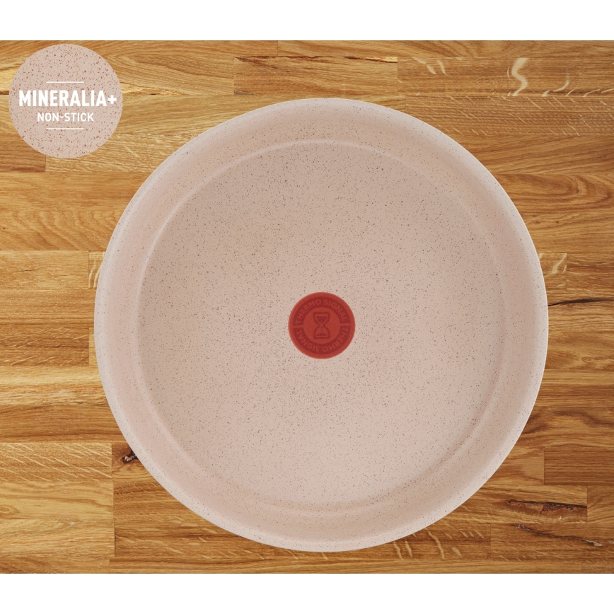 Tefal - 6-dielna sada riadu INGENIO DELIGHT