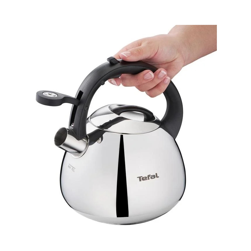 Tefal - Kanvica na indukciu 2,7 l nerez