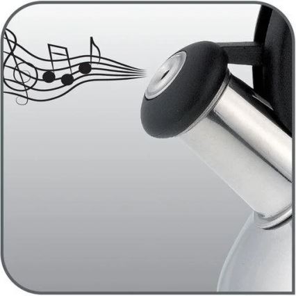 Tefal - Kanvica na indukciu 2,7 l nerez