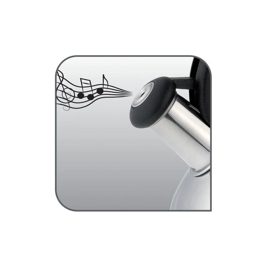 Tefal - Kanvica na indukciu 2,7 l nerez