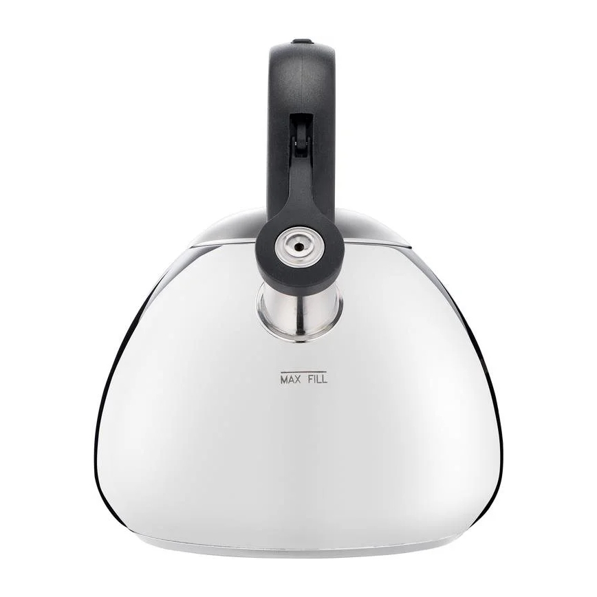 Tefal - Kanvica na indukciu 2,7 l nerez