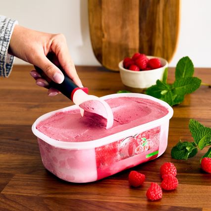 Tefal - Naberačka na zmrzlinu INGENIO