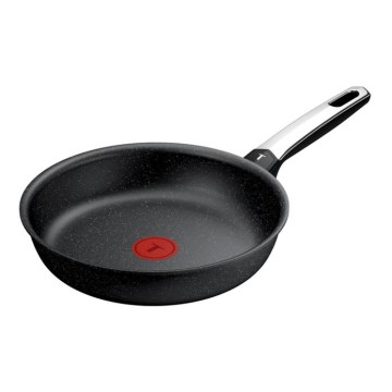 Tefal - Panvica EXPERTISE 24 cm