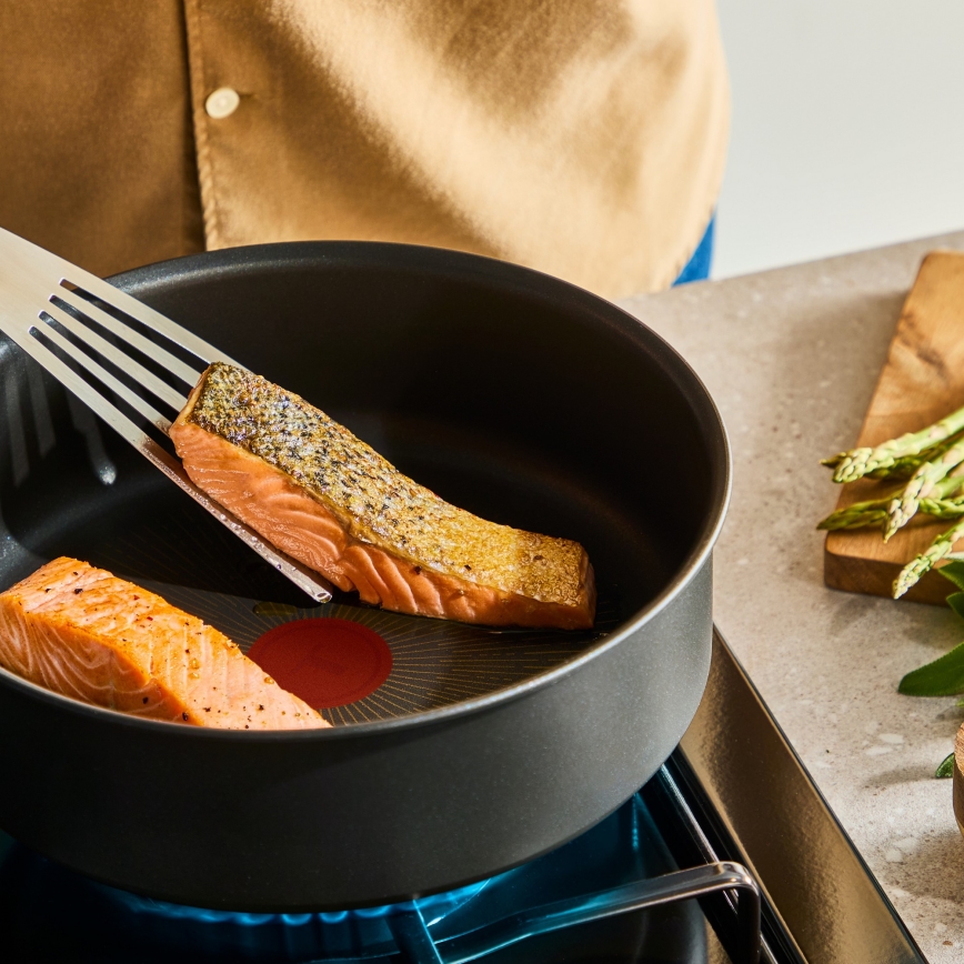 Tefal - Panvica INGENIO Excellence Fusion 24 cm