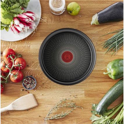 Tefal - Panvica INGENIO Unlimited 24 cm