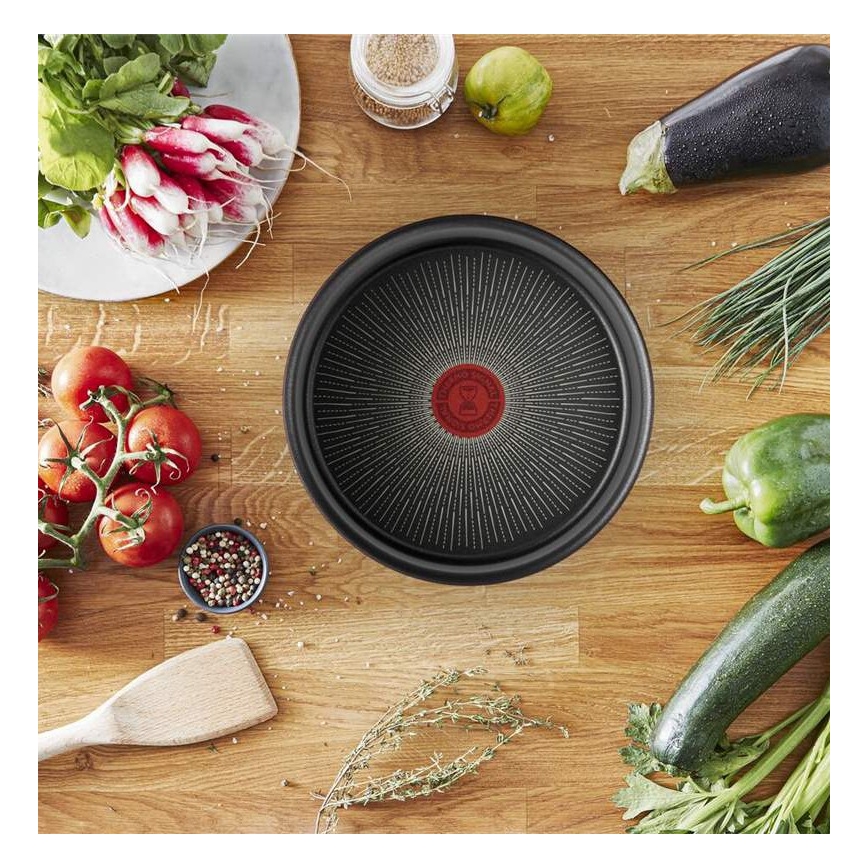 Tefal - Panvica INGENIO Unlimited 24 cm