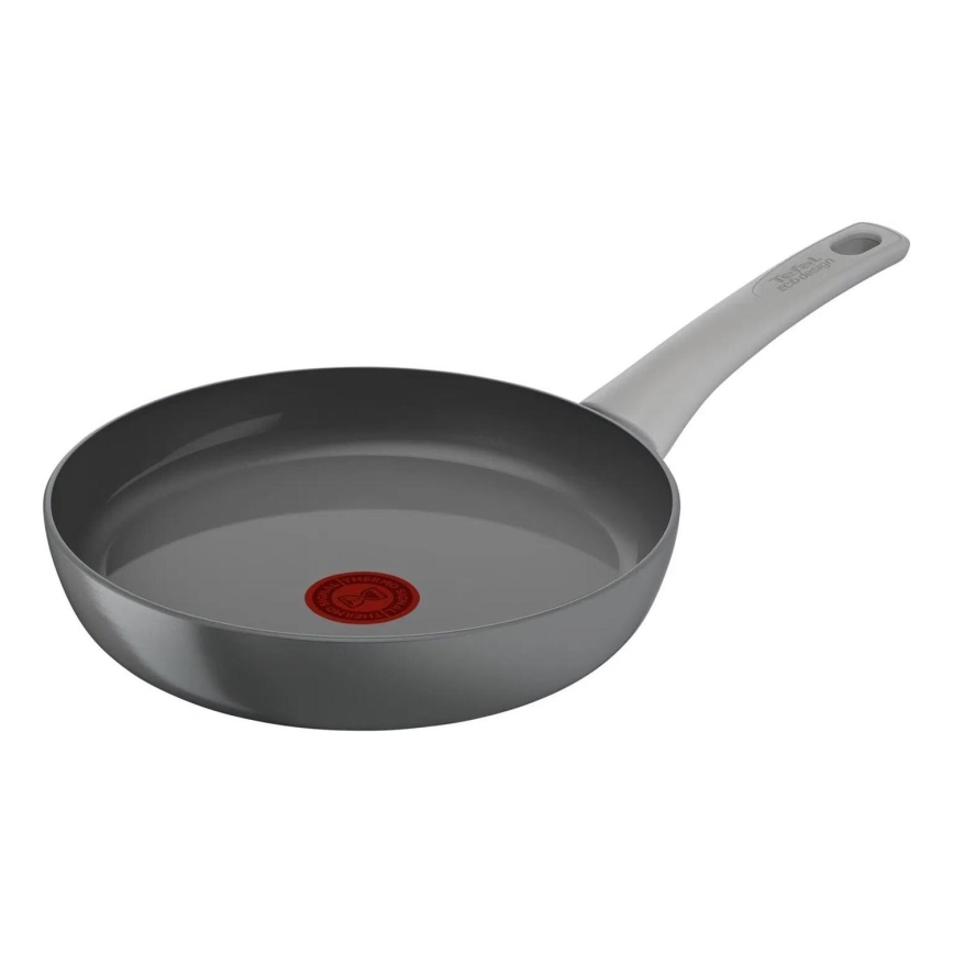 Tefal - Panvica RENEW ON 24 cm