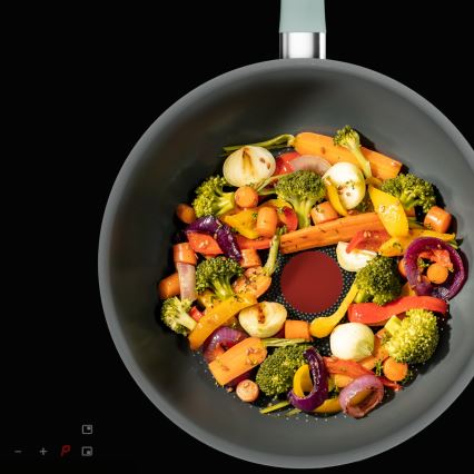 Tefal - Panvica wok HALO 26 cm