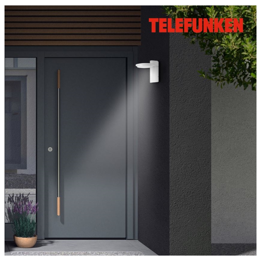 Telefunken 312406TF - LED Vonkajšie nástenné svietidlo LED/10W/230V IP44