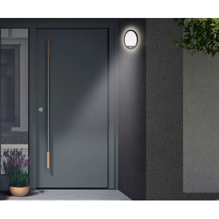 Telefunken 313705TF - LED Vonkajšie nástenné svietidlo so senzorom LED/15W/230V IP44