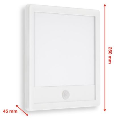 Telefunken 313806TF - LED Vonkajšie nástenné svietidlo so senzorom LED/15W/230V IP44