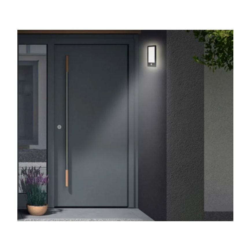 Telefunken 313905TF -LED Vonkajšie nástenné svietidlo so senzorom LED/16W/230V IP44