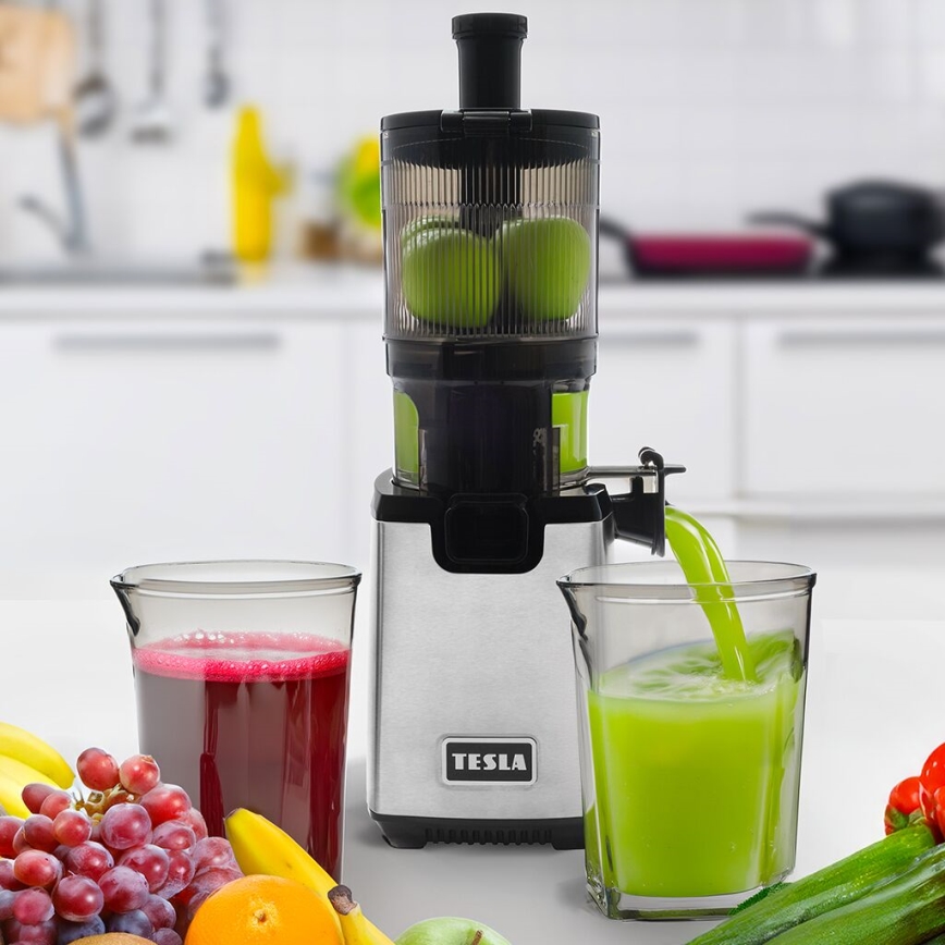 TESLA Electronics SlowJuicer Deluxe - Nízkootáčkový šnekový odšťavňovač 250W/230V nerez/čierna
