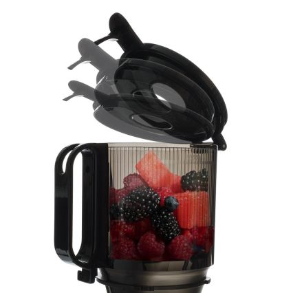 TESLA Electronics SlowJuicer Deluxe - Nízkootáčkový šnekový odšťavňovač 250W/230V nerez/čierna