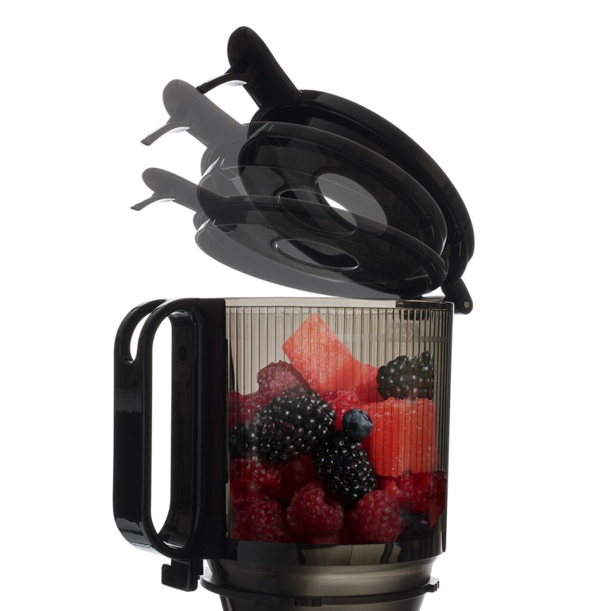 TESLA Electronics SlowJuicer Deluxe - Nízkootáčkový šnekový odšťavňovač 250W/230V nerez/čierna