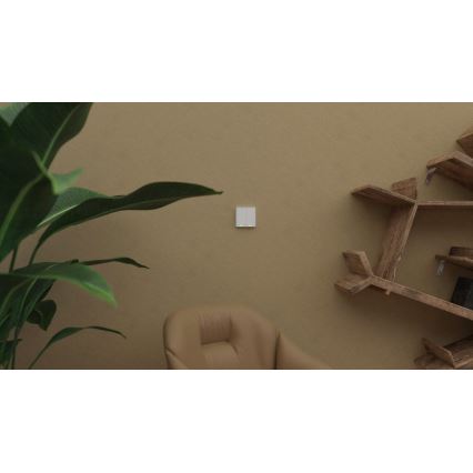 TESLA Smart - Inteligentný bezdrôtový domový vypínač 2P 1xCR2430 ZigBee