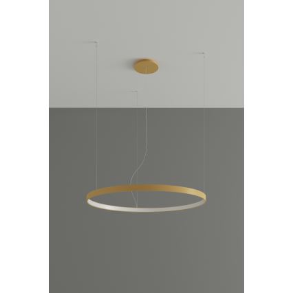 Thoro TH.174 - LED Luster na lanku RIO LED/50W/230V CRI 90 3000K pr. 78 cm zlatá