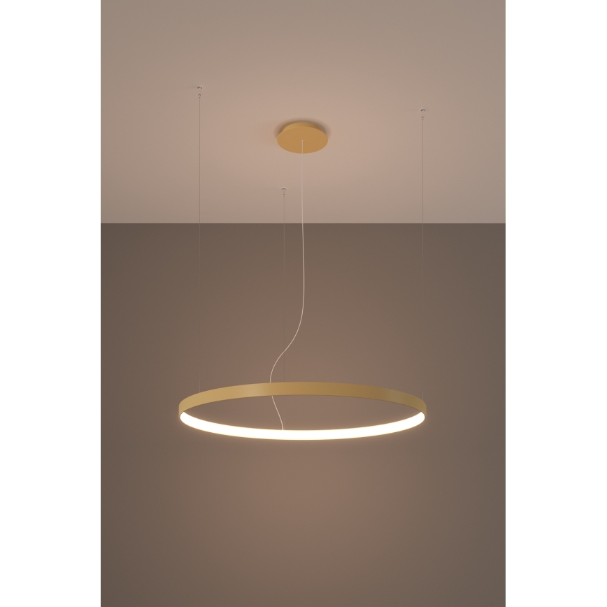 Thoro TH.174 - LED Luster na lanku RIO LED/50W/230V CRI 90 3000K pr. 78 cm zlatá