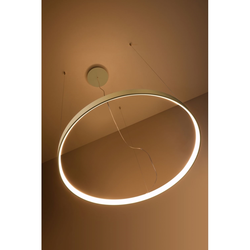 Thoro TH.174 - LED Luster na lanku RIO LED/50W/230V CRI 90 3000K pr. 78 cm zlatá