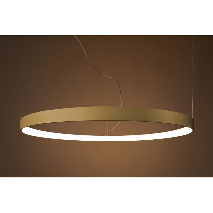 Thoro TH.174 - LED Luster na lanku RIO LED/50W/230V CRI 90 3000K pr. 78 cm zlatá