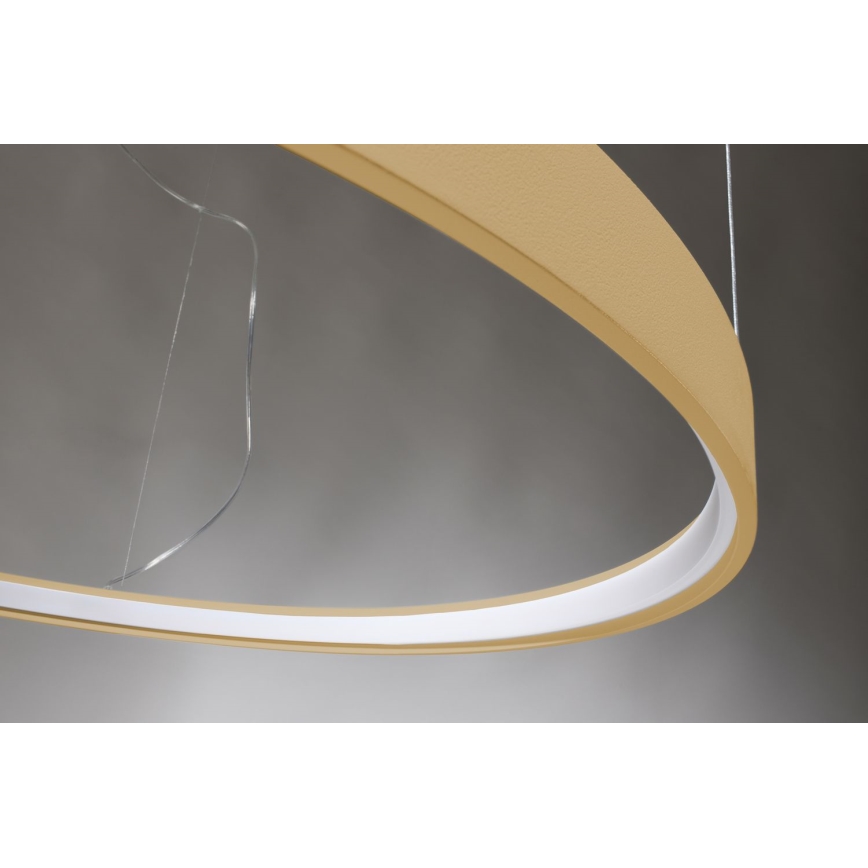 Thoro TH.174 - LED Luster na lanku RIO LED/50W/230V CRI 90 3000K pr. 78 cm zlatá