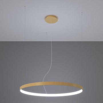 Thoro TH.181 - LED  Luster na lanku RIO LED /50W/230V CRI 95 4000K pr. 78 cm zlatá