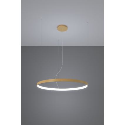 Thoro TH.181 - LED  Luster na lanku RIO LED /50W/230V CRI 95 4000K pr. 78 cm zlatá