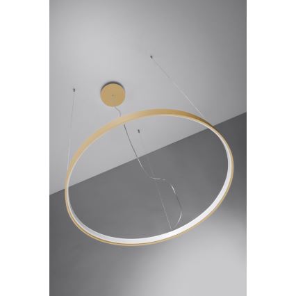 Thoro TH.181 - LED  Luster na lanku RIO LED /50W/230V CRI 95 4000K pr. 78 cm zlatá