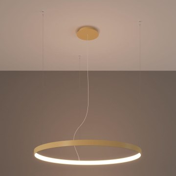 Thoro TH.216 - LED Luster na lanku RIO LED/30W/230V CRI 90 3000K pr. 55 cm zlatá