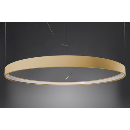 Thoro TH.216 - LED Luster na lanku RIO LED/30W/230V CRI90 3000K pr. 55 cm zlatá