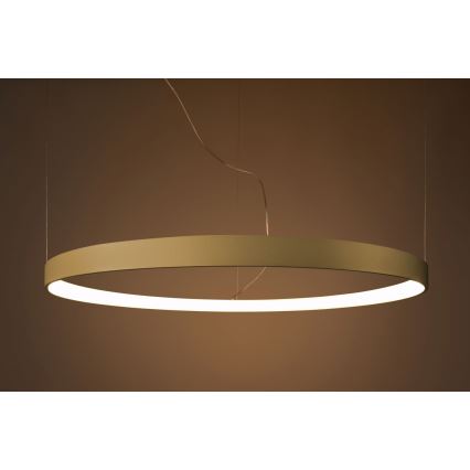 Thoro TH.216 - LED Luster na lanku RIO LED/30W/230V CRI 90 3000K pr. 55 cm zlatá