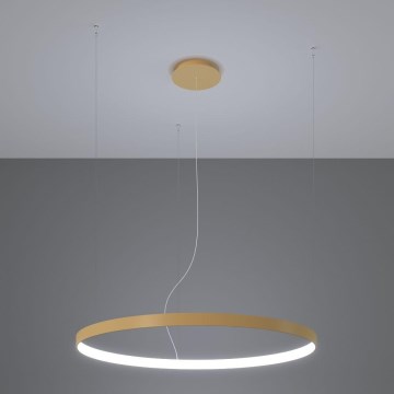 Thoro TH.217 - LED Luster na lanku RIO LED/30W/230V CRI 95 4000K pr. 55 cm zlatá
