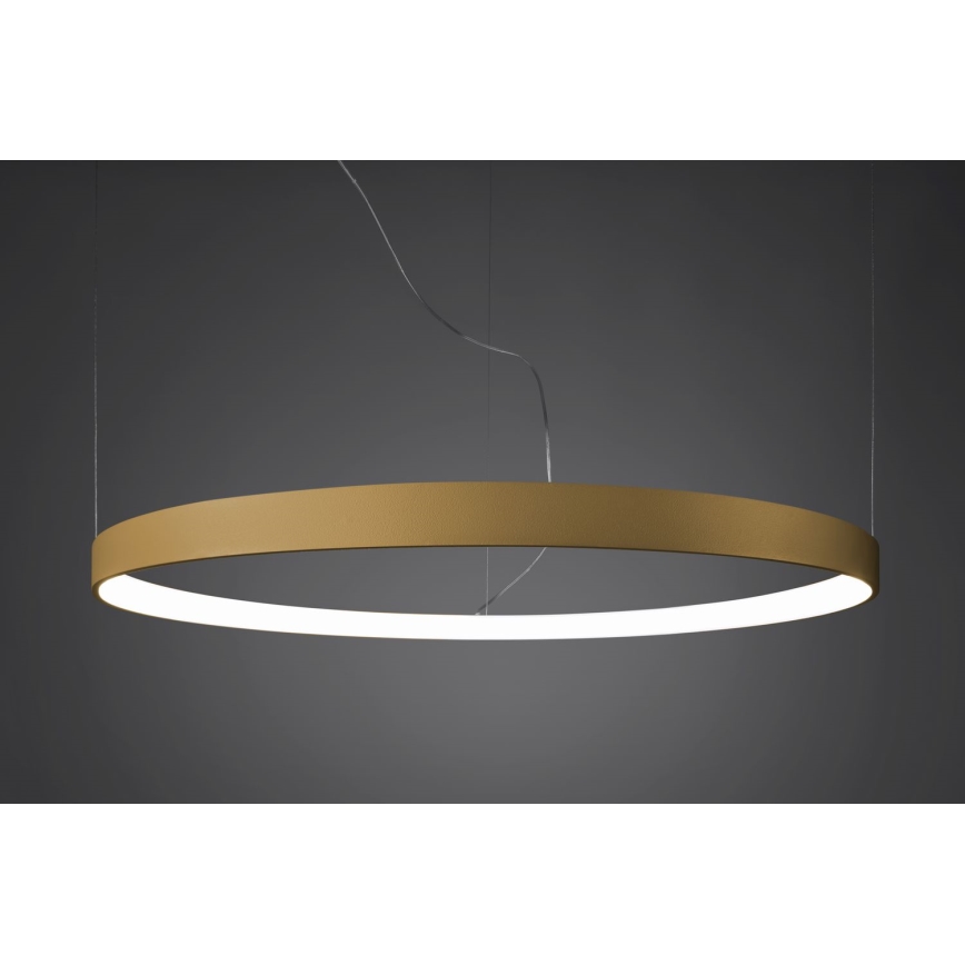 Thoro TH.217 - LED Luster na lanku RIO LED/30W/230V CRI 95 4000K pr. 55 cm zlatá