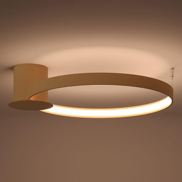 Thoro TH.222 - LED Stropné svietidlo RIO LED/30W/230V CRI 90 3000K pr. 55 cm zlatá