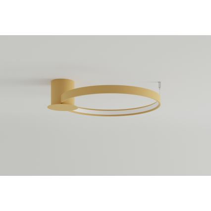 Thoro TH.222 - LED Stropné svietidlo RIO LED/30W/230V CRI 90 3000K pr. 55 cm zlatá