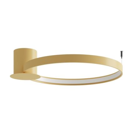 Thoro TH.222 - LED Stropné svietidlo RIO LED/30W/230V CRI 90 3000K pr. 55 cm zlatá