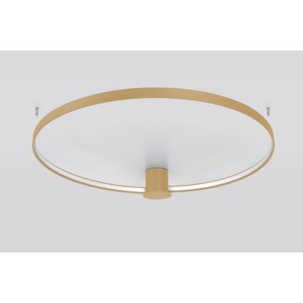 Thoro TH.222 - LED Stropné svietidlo RIO LED/30W/230V CRI 90 3000K pr. 55 cm zlatá