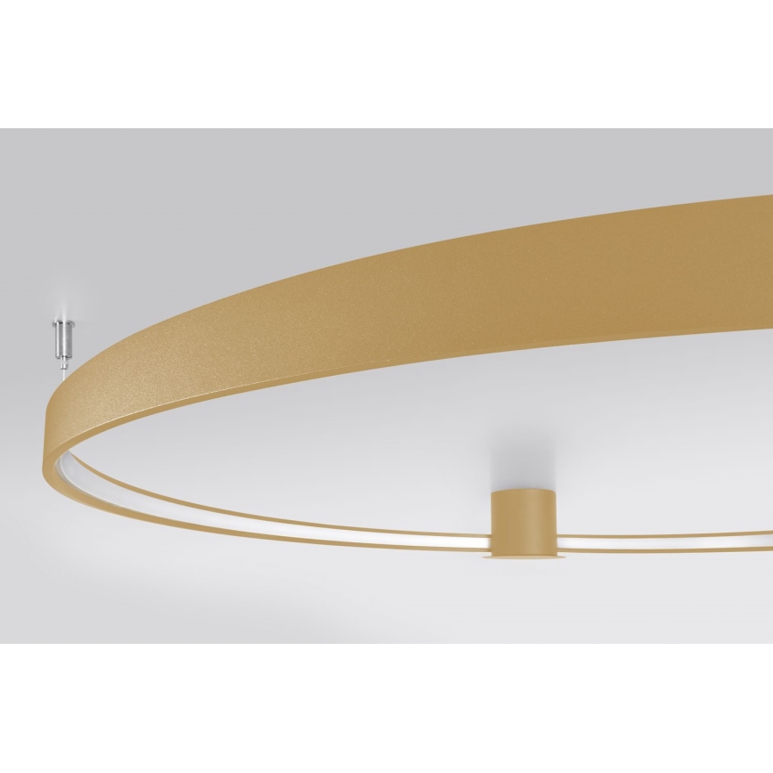 Thoro TH.222 - LED Stropné svietidlo RIO LED/30W/230V CRI 90 3000K pr. 55 cm zlatá