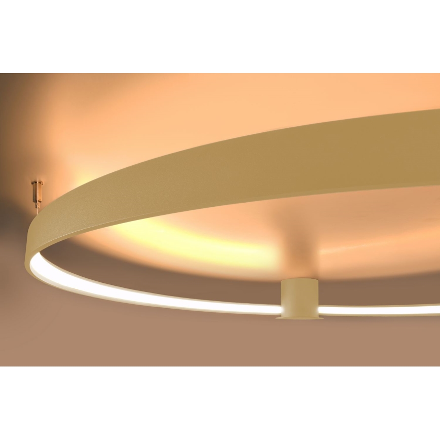 Thoro TH.222 - LED Stropné svietidlo RIO LED/30W/230V CRI 90 3000K pr. 55 cm zlatá