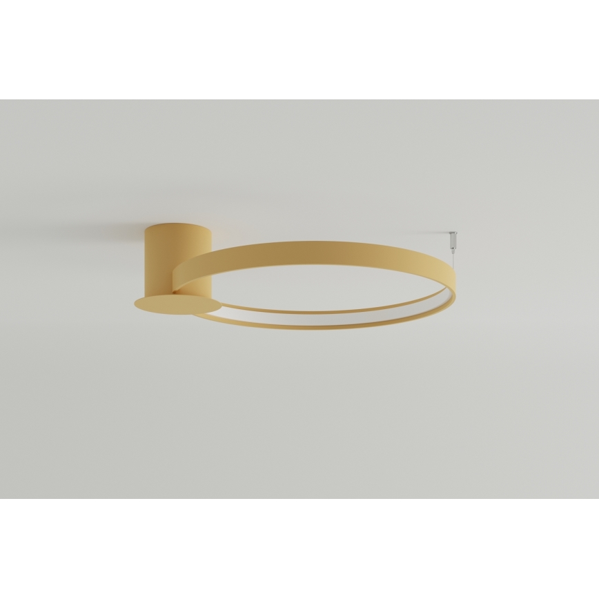 Thoro TH.223 - LED Stropné svietidlo RIO LED/30W/230V CRI 95 4000K pr. 55 cm zlatá