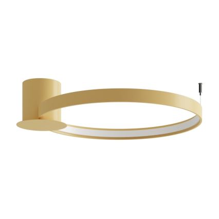 Thoro TH.223 - LED Stropné svietidlo RIO LED/30W/230V CRI 95 4000K pr. 55 cm zlatá