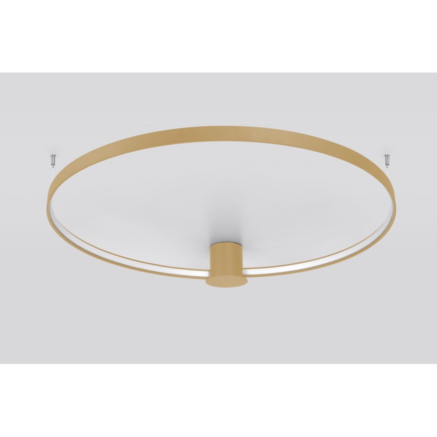 Thoro TH.223 - LED Stropné svietidlo RIO LED/30W/230V CRI 95 4000K pr. 55 cm zlatá