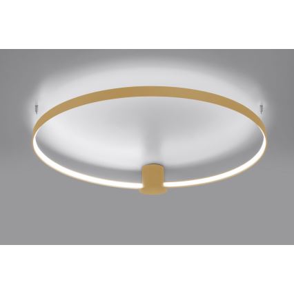 Thoro TH.223 - LED Stropné svietidlo RIO LED/30W/230V CRI 95 4000K pr. 55 cm zlatá