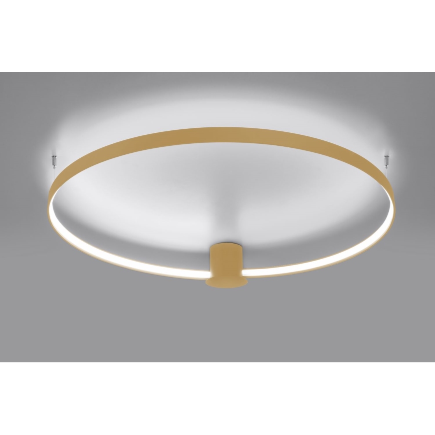 Thoro TH.223 - LED Stropné svietidlo RIO LED/30W/230V CRI 95 4000K pr. 55 cm zlatá
