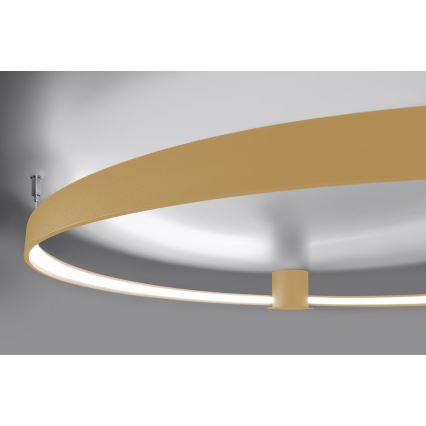Thoro TH.223 - LED Stropné svietidlo RIO LED/30W/230V CRI 95 4000K pr. 55 cm zlatá