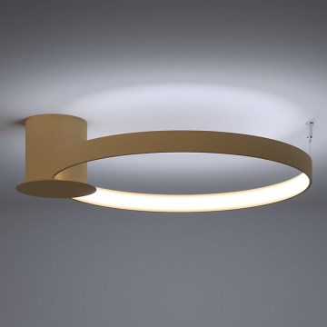 Thoro TH.223 - LED Stropné svietidlo RIO LED/30W/230V CRI 95 4000K pr. 55 cm zlatá