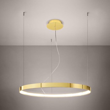 Thoro TH.246 - LED Luster na lanku RIO LED/50W/230V CRI 90 3000K pr. 78 cm zlatá