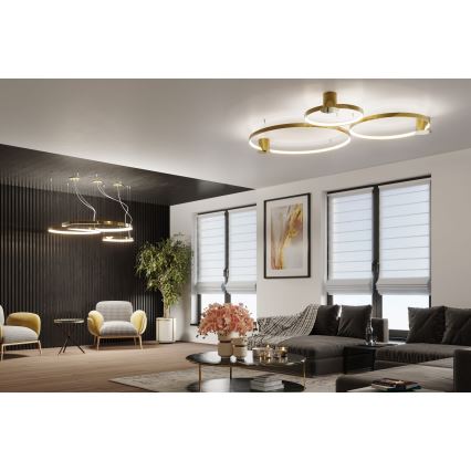 Thoro TH.246 - LED Luster na lanku RIO LED/50W/230V CRI 90 3000K pr. 78 cm zlatá