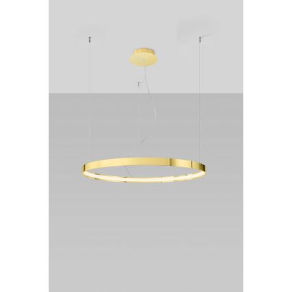 Thoro TH.246 - LED Luster na lanku RIO LED/50W/230V CRI 90 3000K pr. 78 cm zlatá