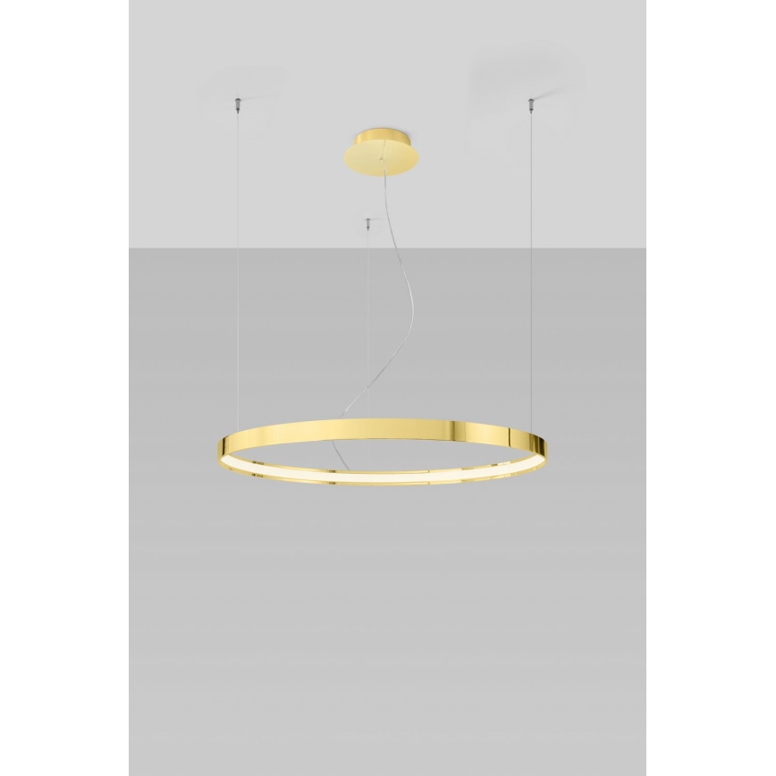 Thoro TH.246 - LED Luster na lanku RIO LED/50W/230V CRI 90 3000K pr. 78 cm zlatá